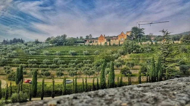 Palazzo Montanari Winery