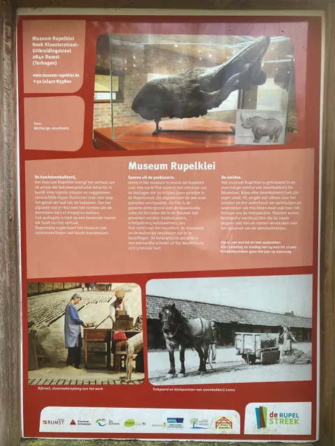 Museum Rupelklei