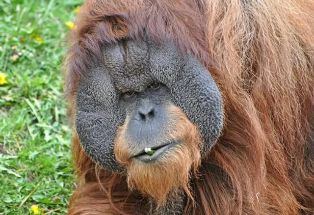 Como Park Zoo & Conservatory Visitor Center