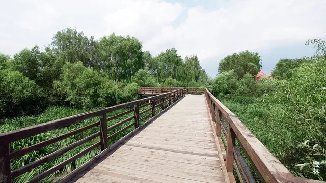 Gangseo Marsh Ecological Park