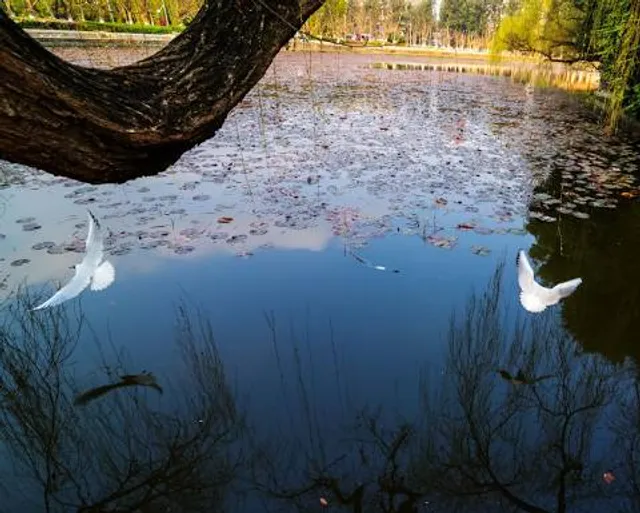 Park. Fr.. Jozef Poniatowski