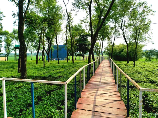 Khoribari Eco Resort