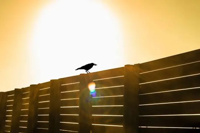 Casino Arizona at Talking Stick Resort