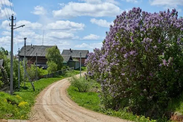 Museum of the Junkyard Poet