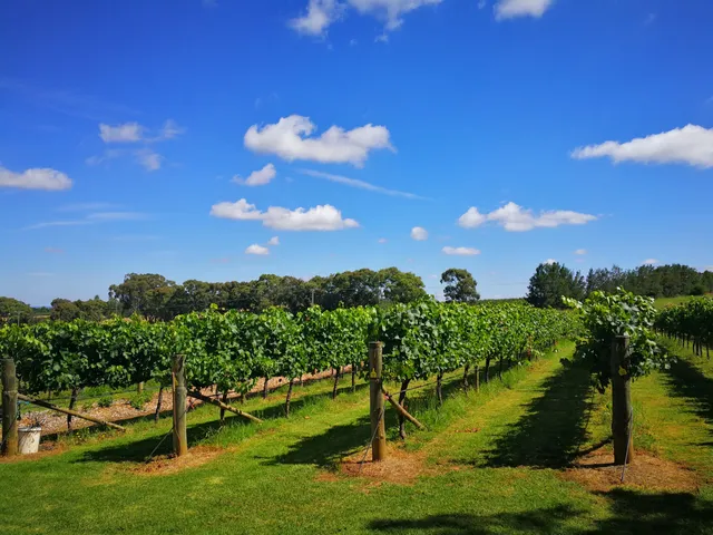 Orange Mountain Estate wines