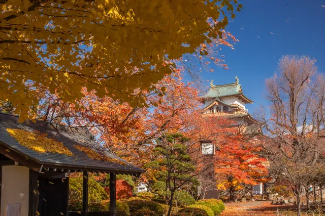 Kamisuwa Onsen Shinyu Hotel