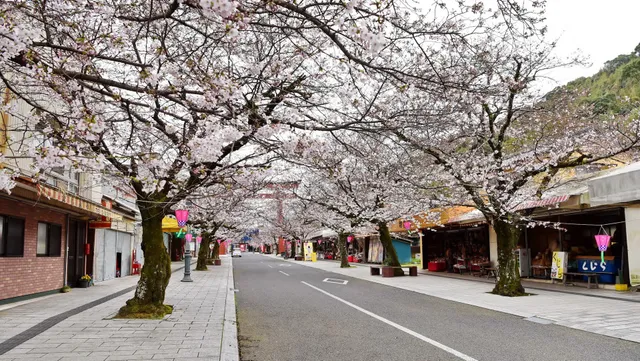 蓮（立花屋別館）