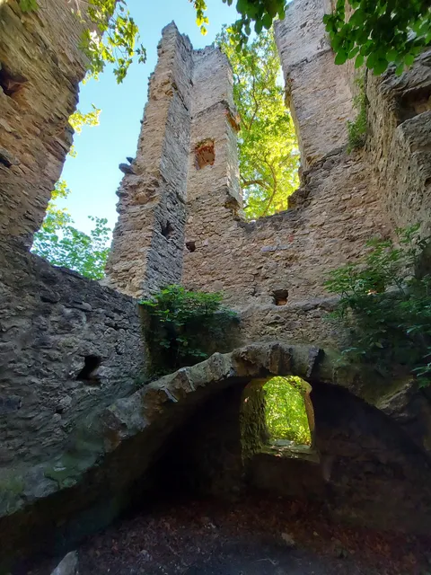 Ruine Neckarburg