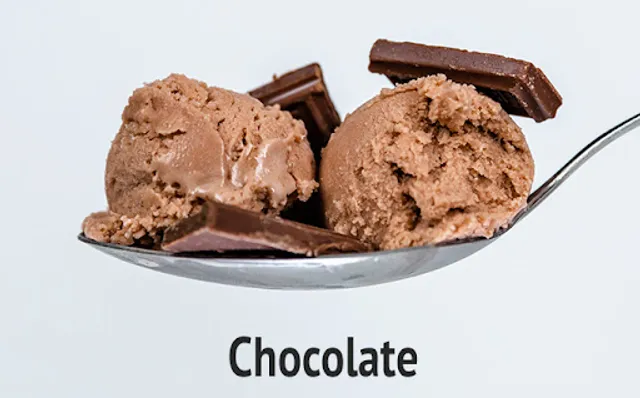 Pudgy Udder Ice Cream Co.