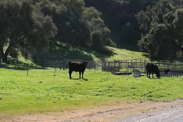 Loretta Lynn's Ranch - Event Venue, Campgrounds, Tourism Destination