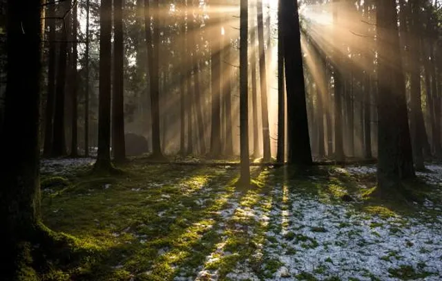 17. Bateria Artylerii Stałej