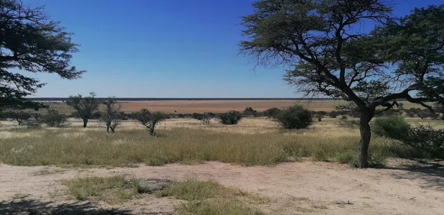 Mabuasehube Game Reserve