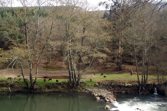 Parque de las Sierras de Oporto