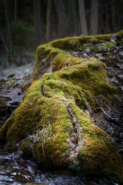 Steinerne Rinne Rohrbach