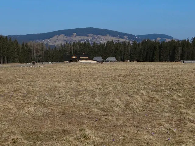 Palenica Kościeliska