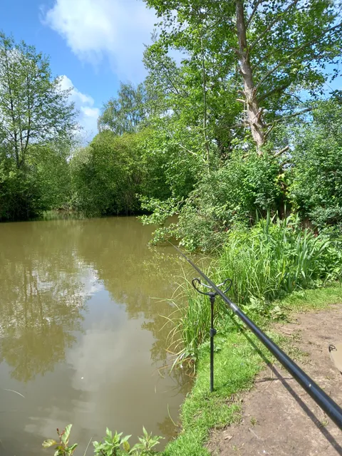Rayne Lodge Fishery