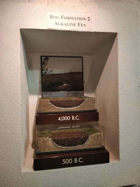 Bog of Allen Nature Centre