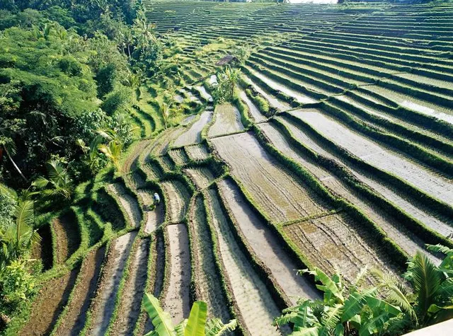 Skagen Sønderstrand