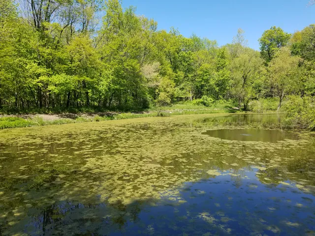 Humiston Woods Nature Preserve