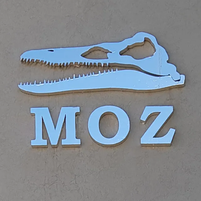 Museo Olsacher Zapala