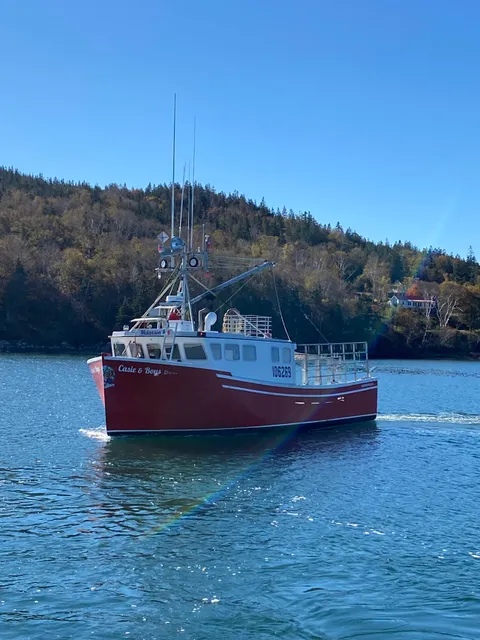 Adventure Bay Whale Watch Company