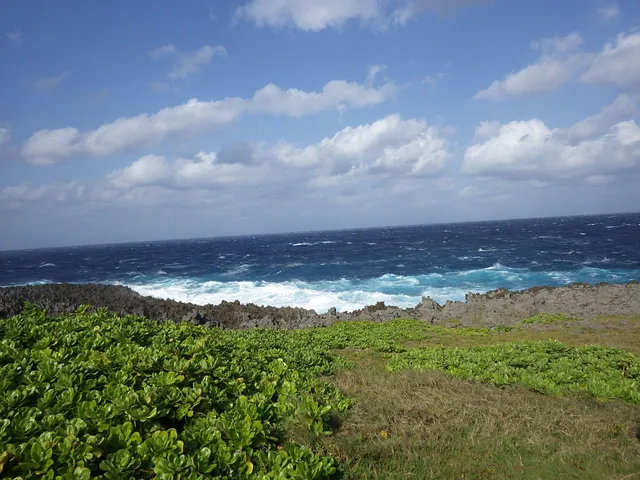 photo-3