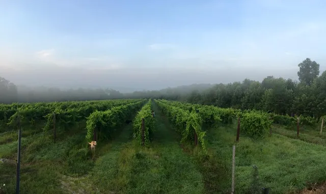 Grinder's Switch Winery at Marathon Village