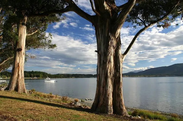 place image