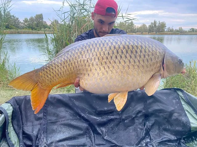 Szavanna horgásztó