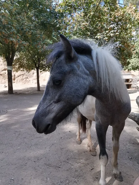 Jardin Animalier de Mialet