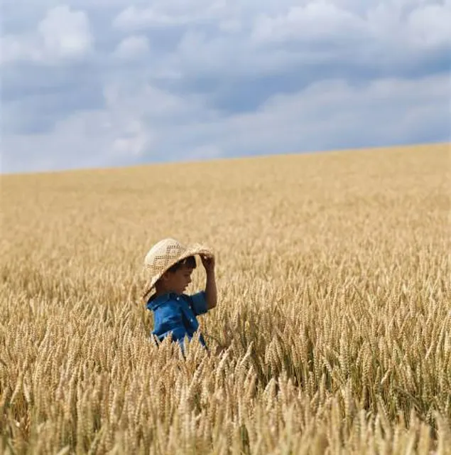 Labyrinthe de Beaugency (45)
