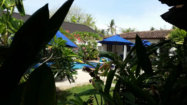 Indigo Bungalows