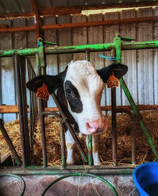 ferme pedagogique des pennetieres