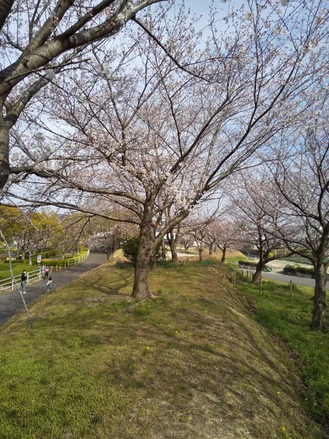 Hirachi Park