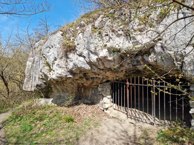 Bear Cave