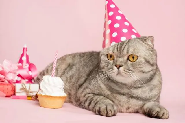 Musée archéologique national de Tuscania