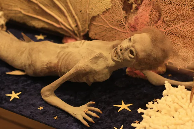 Discoversea Shipwreck Museum