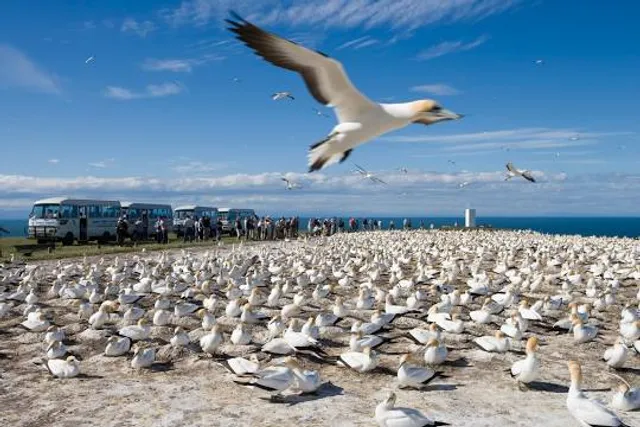 Gannet Safaris Overland Ltd