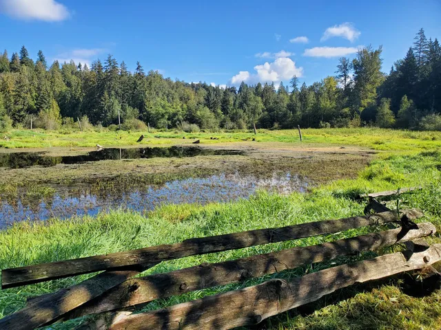 Silverdale Creek Wetlands