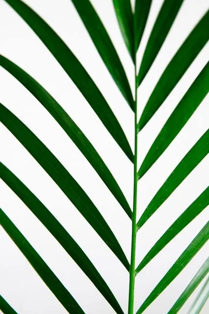 Aussichtsturm Isterberg