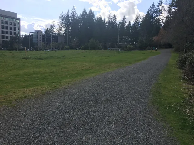 Bellevue Airfield Park