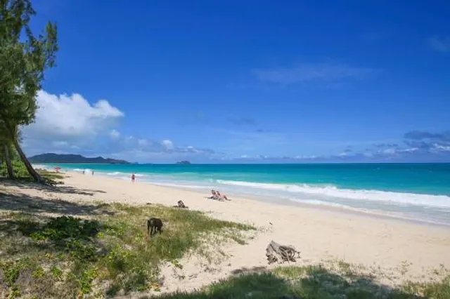 Waimānalo Beach Park