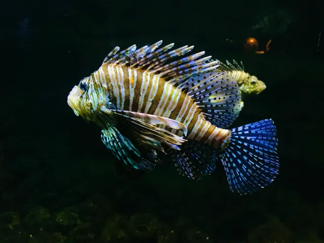 Cambron Castle (Aquarium)