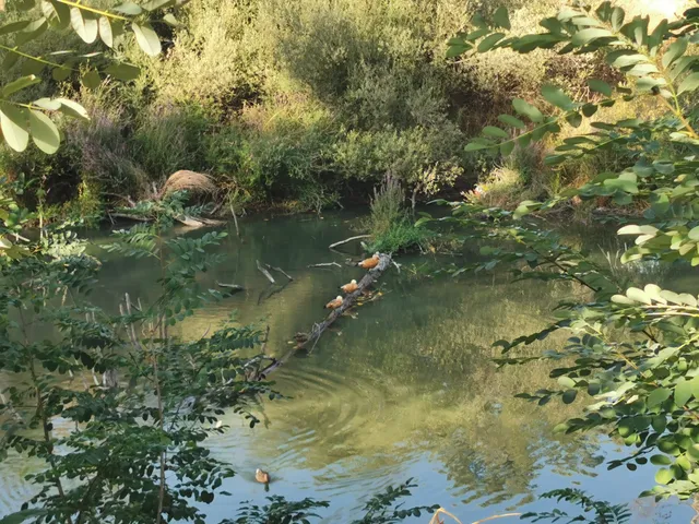 Senda Fluvial del Manzanares