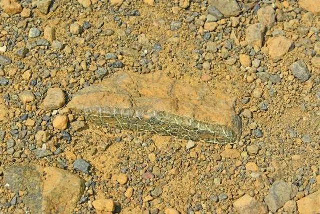 Mantle Rock Preserve