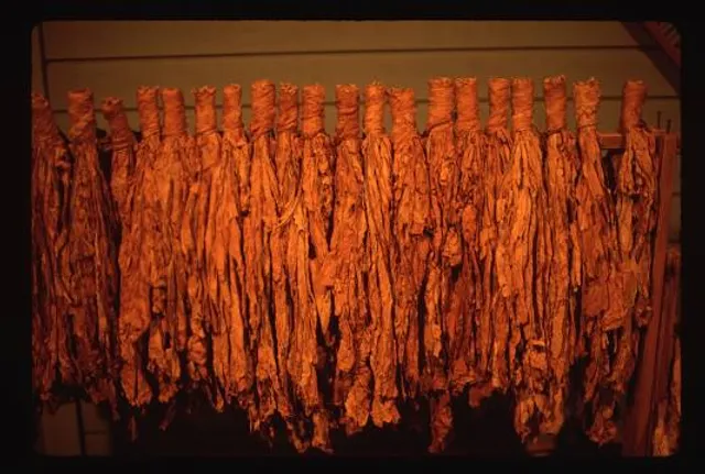 Tobacco Farm Life Museum