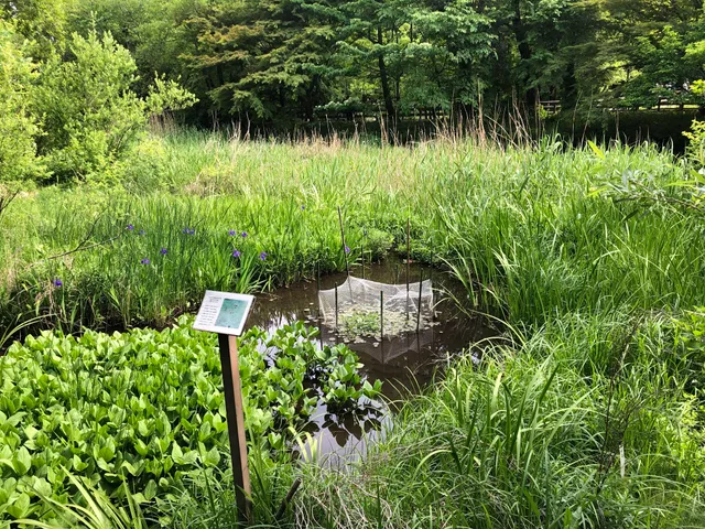 Waterside Botanical Garden