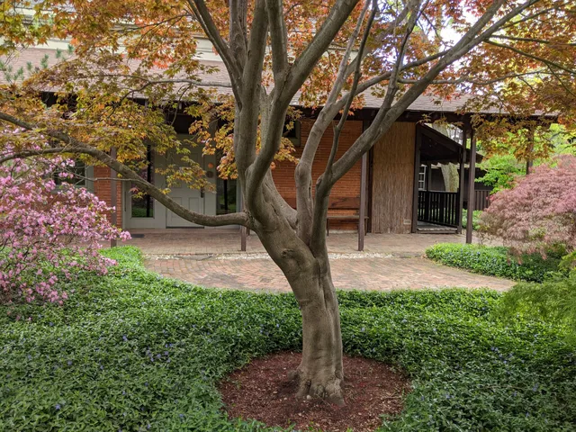 photo-2