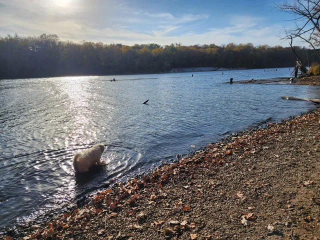 Meeker Island Dog Park