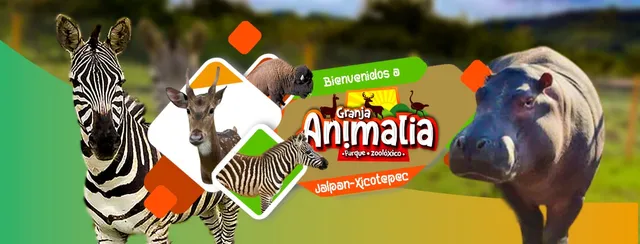 Granja Animalia